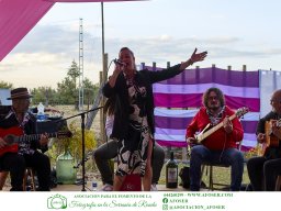 Festival Mar de Tethys 2026 - Bodega Vetas